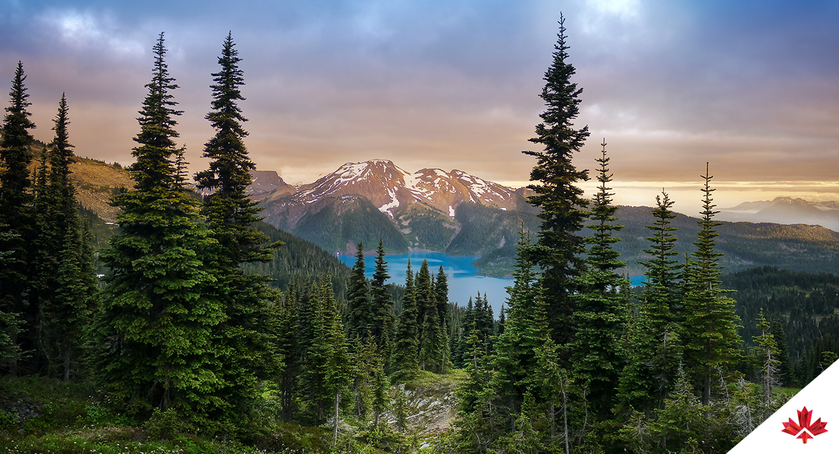 Le lac Garibaldi de la montagne glaciaire avec une eau turquoise au milieu d’une forêt de conifères au coucher du soleil. 